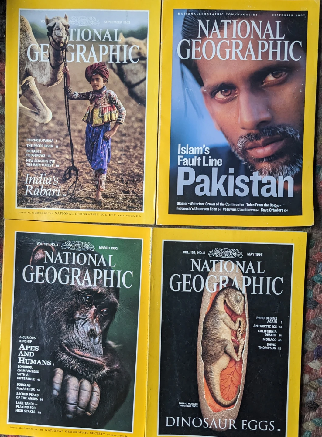 National Geographic Magazines (Set of 15) - photo 2