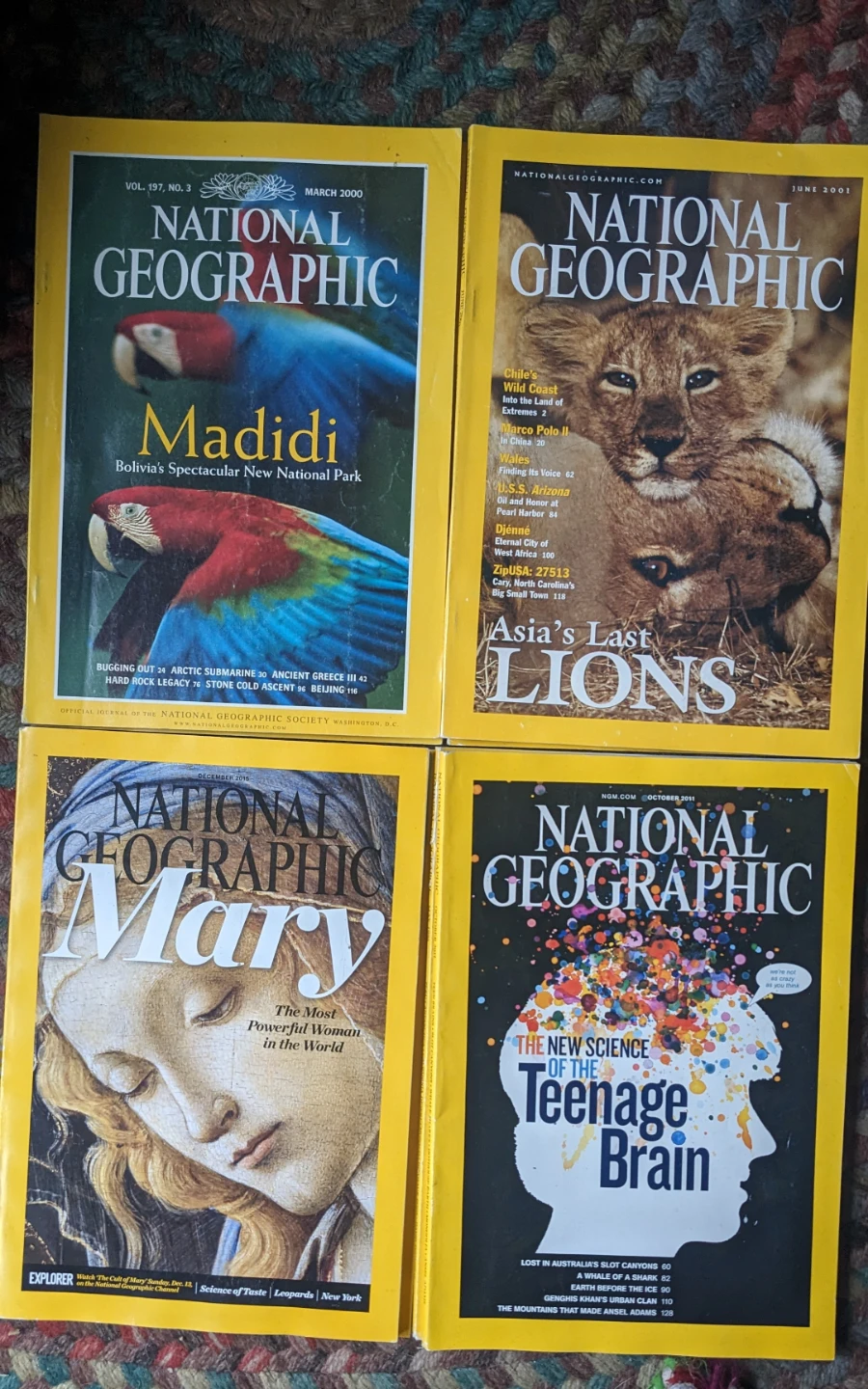 National Geographic Magazines (Set of 15) - photo 3