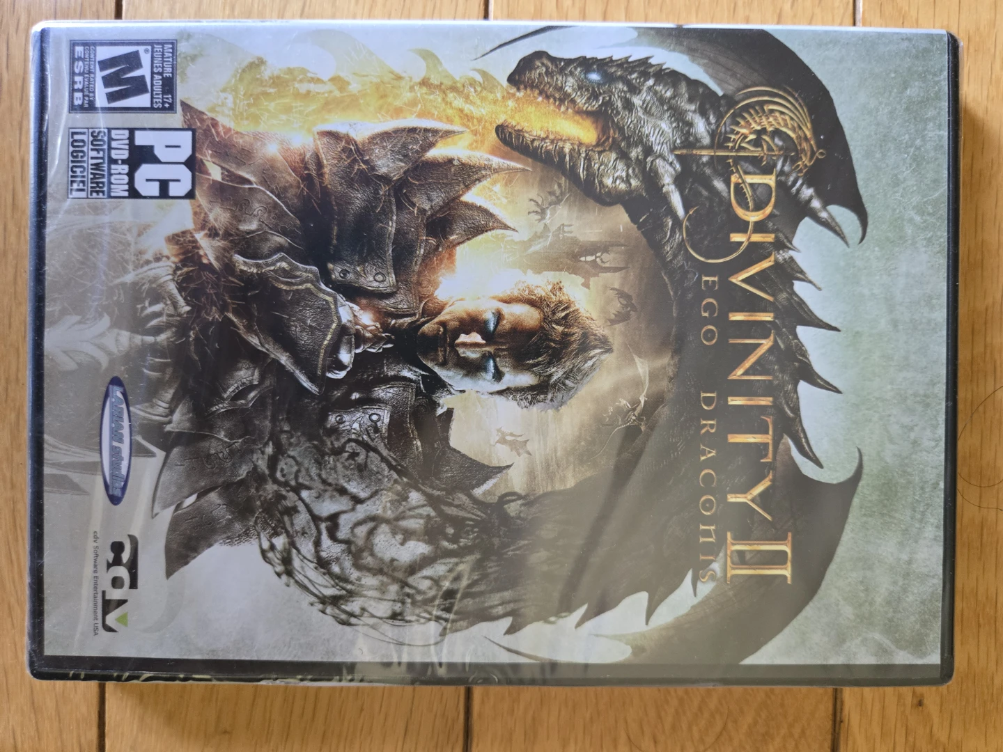 Divinity II: Ego Draconis PC Game - photo 2