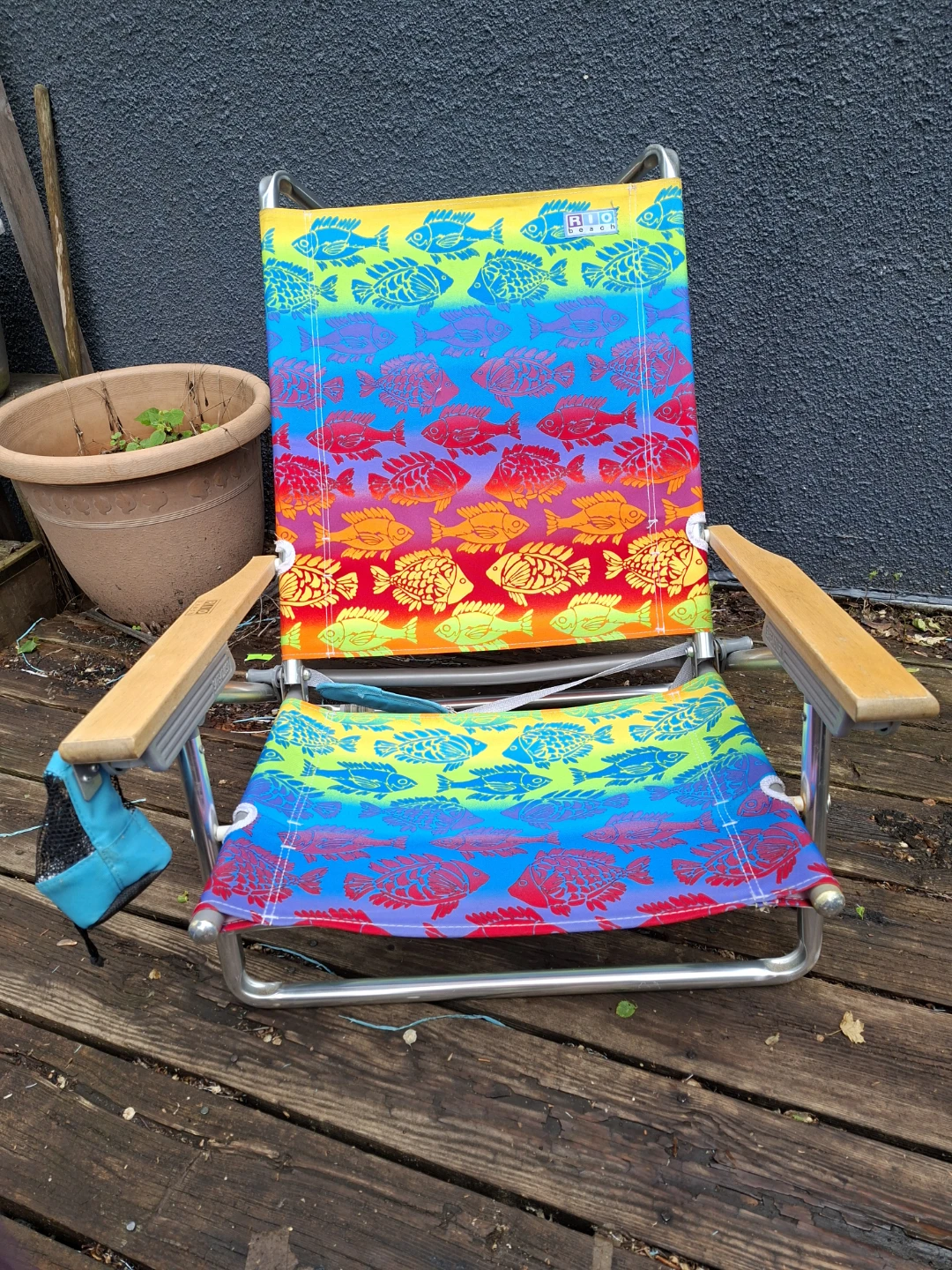 Rio Beach Chair - Rainbow Fish