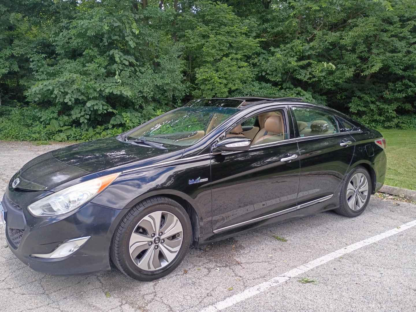 2013 Hyundai Sonata hybrid