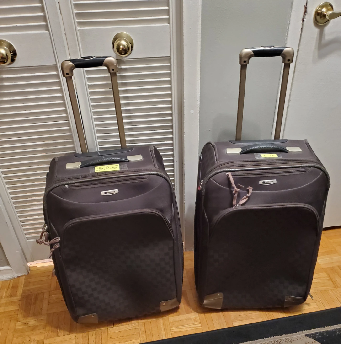 Delsey  2 Big Travel Luggage