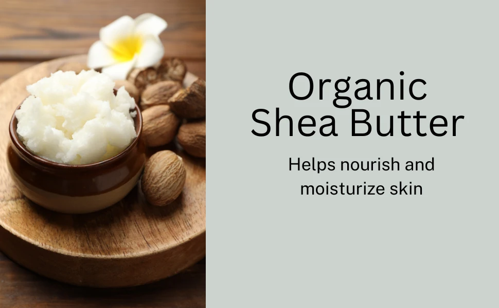 Sanctuary Natural Sandalwood & Rosehip Anti-Aging Night Balm 🏆 - photo 4