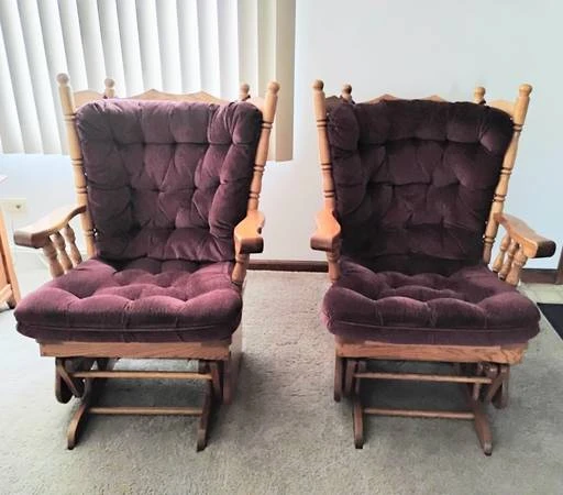 MULTI-FAMILY GARAGE SALE - SOUTH ELGIN, IL - photo 2