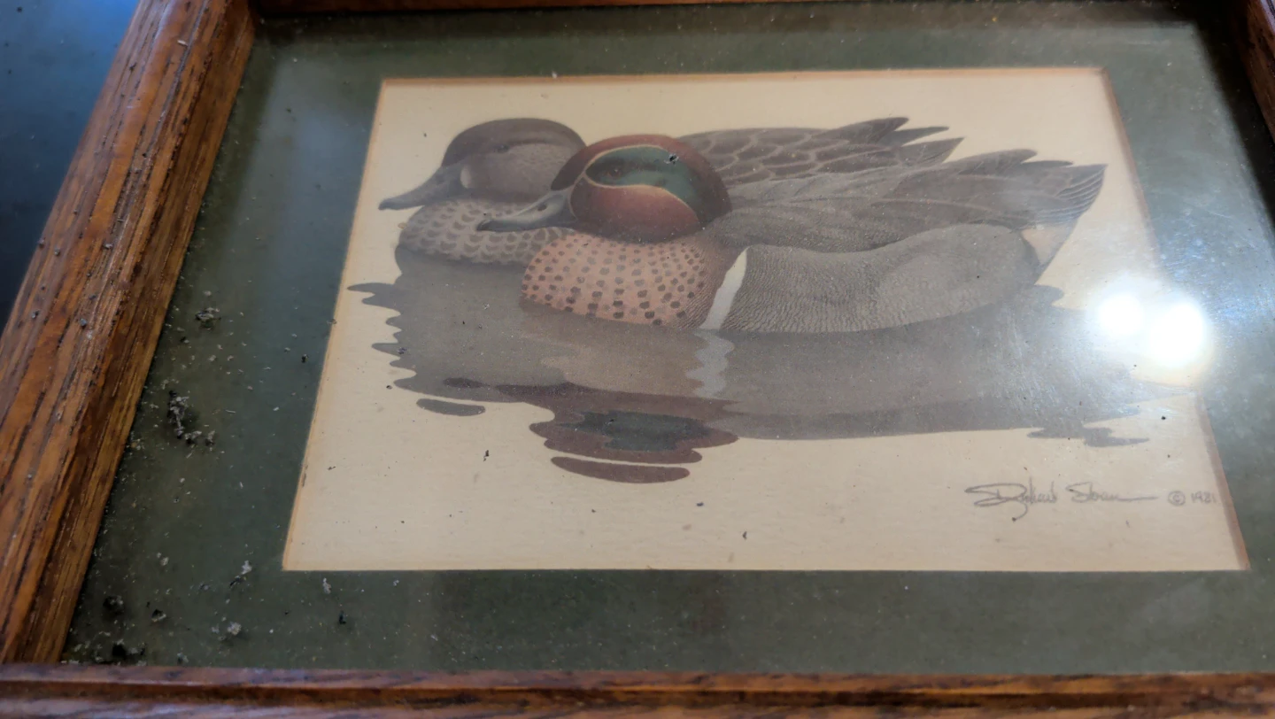 Framed Duck Print by Richard Storm ⚽- 1981 - photo 3