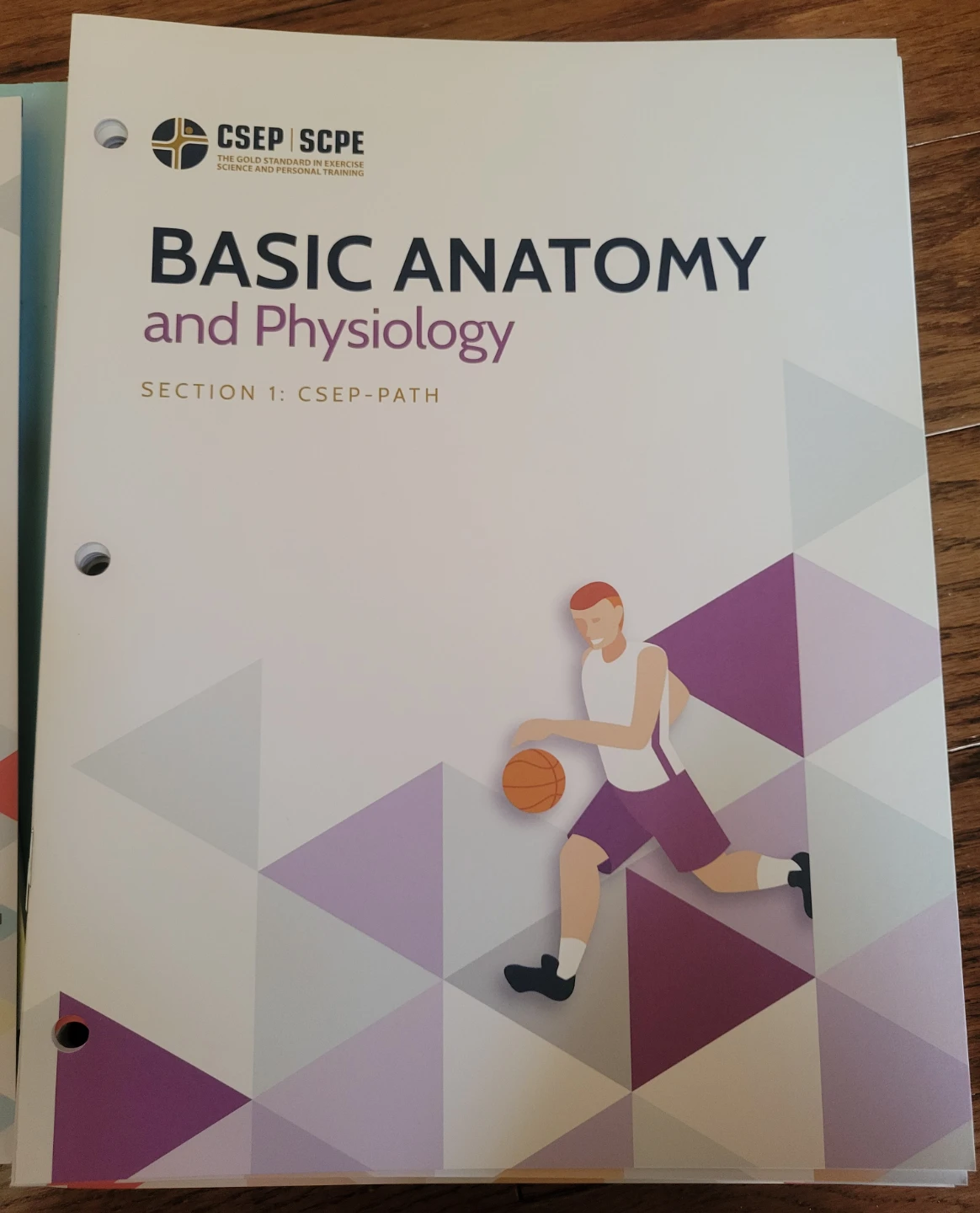 CSEP PATH Physical Activity Training for Health Second Edition - photo 2