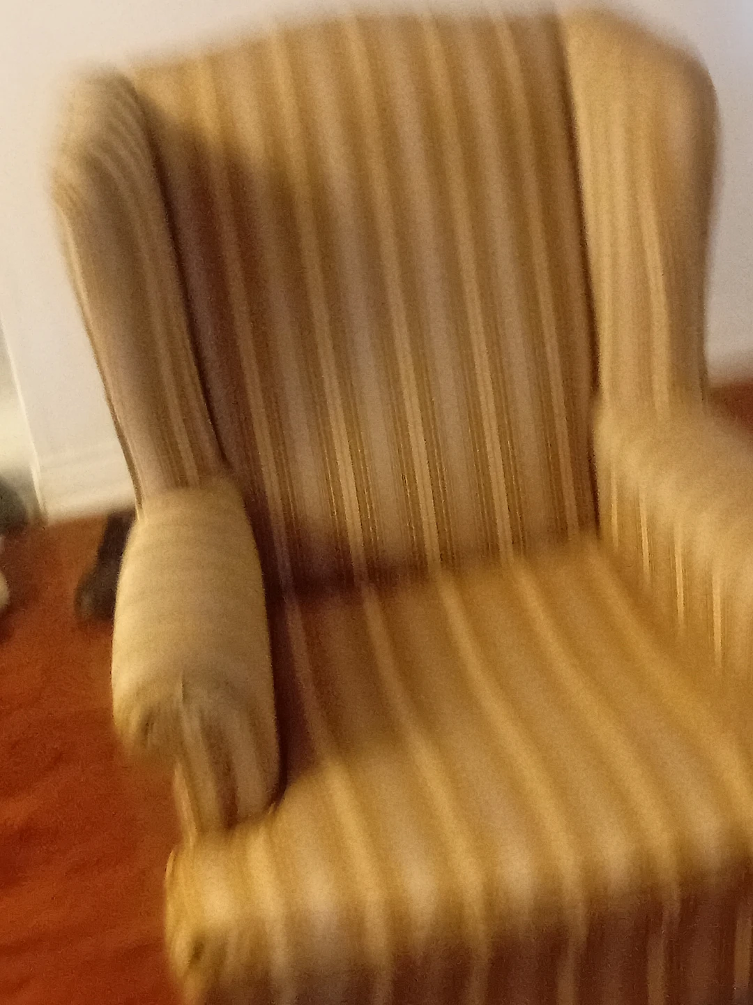 Striped Accent Chair - photo 2