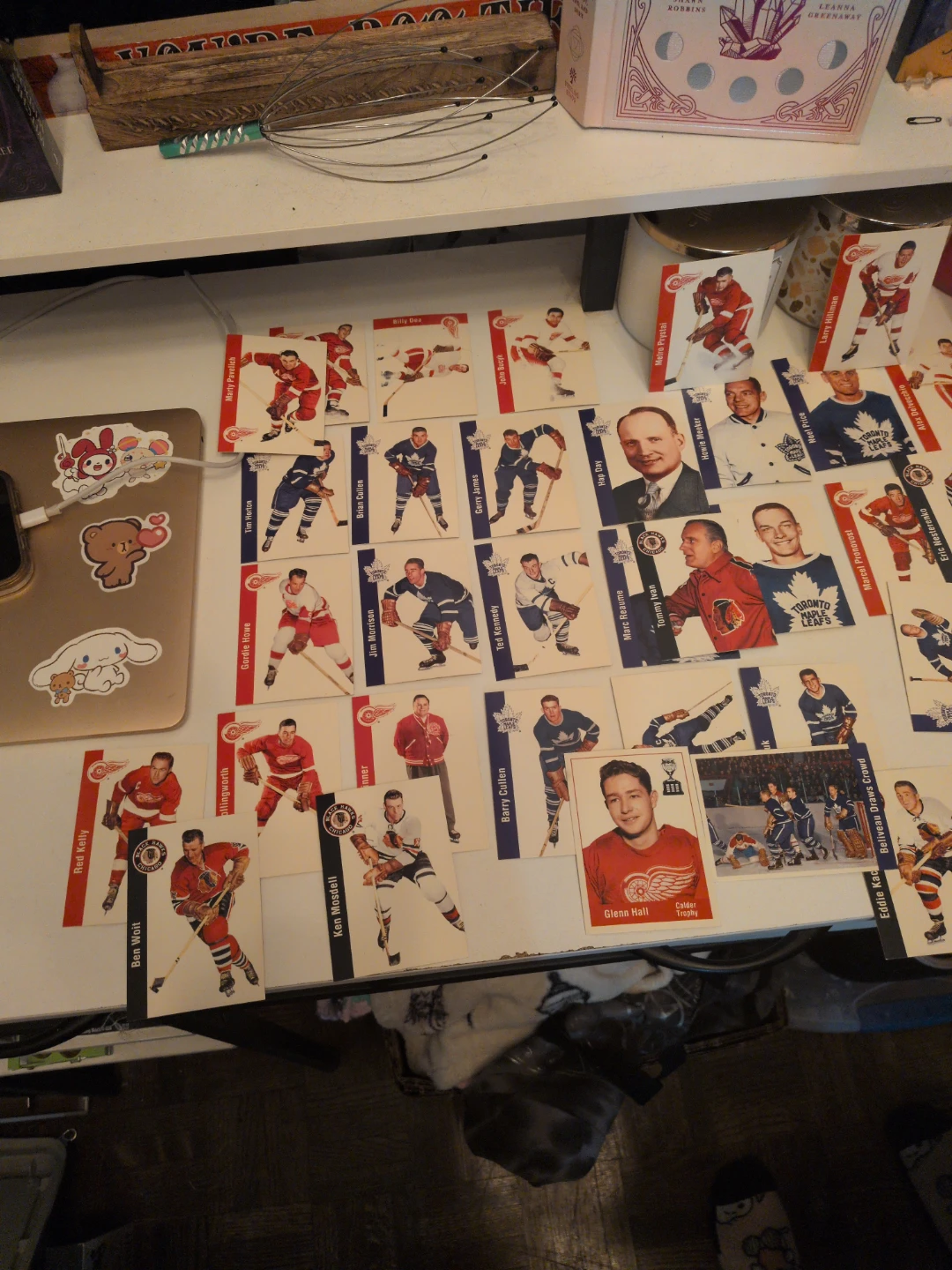 Collection of Vintage Hockey Cards