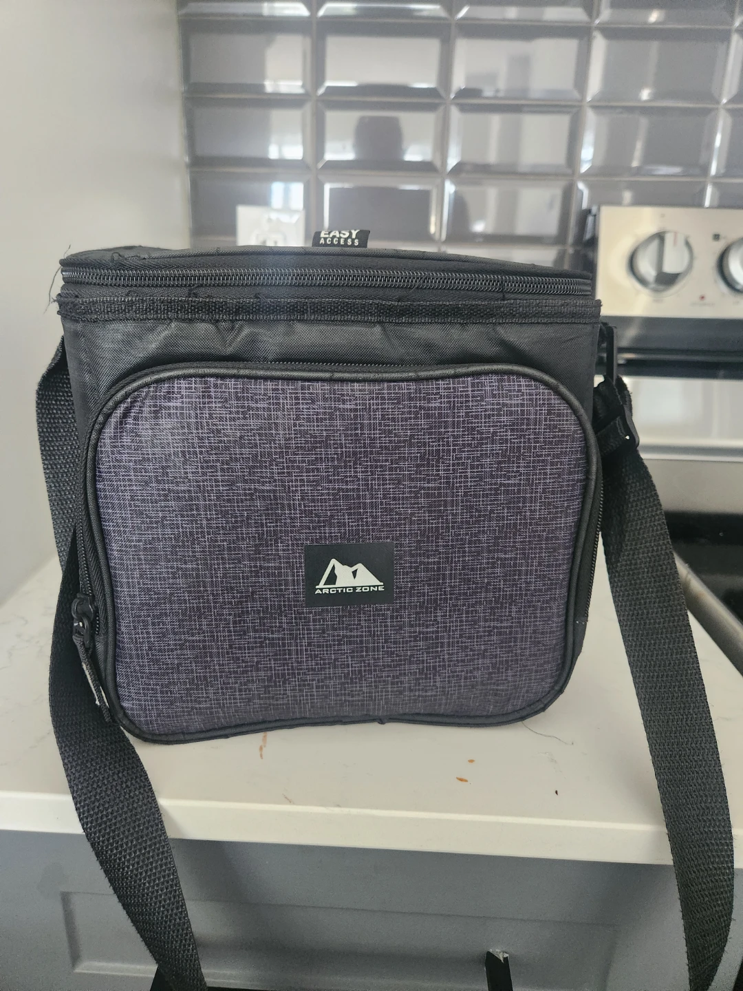 Arctic Zone Insulated Lunch Bag