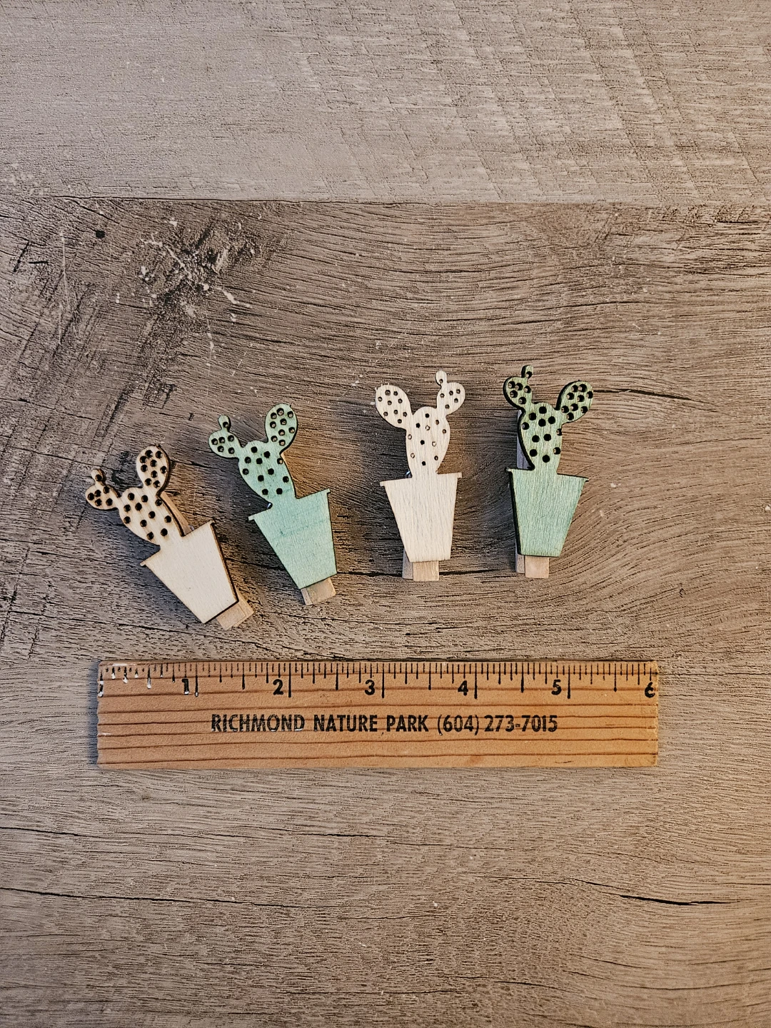 Cactus Clips