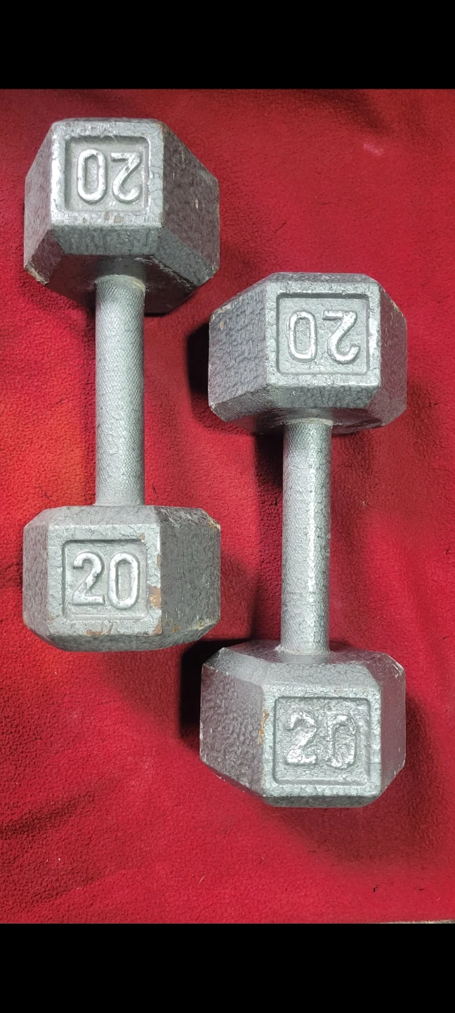 SET OF  20s. RUBBER COATED HEXHEAD DUMBBELLS  TOTAL 40LBs