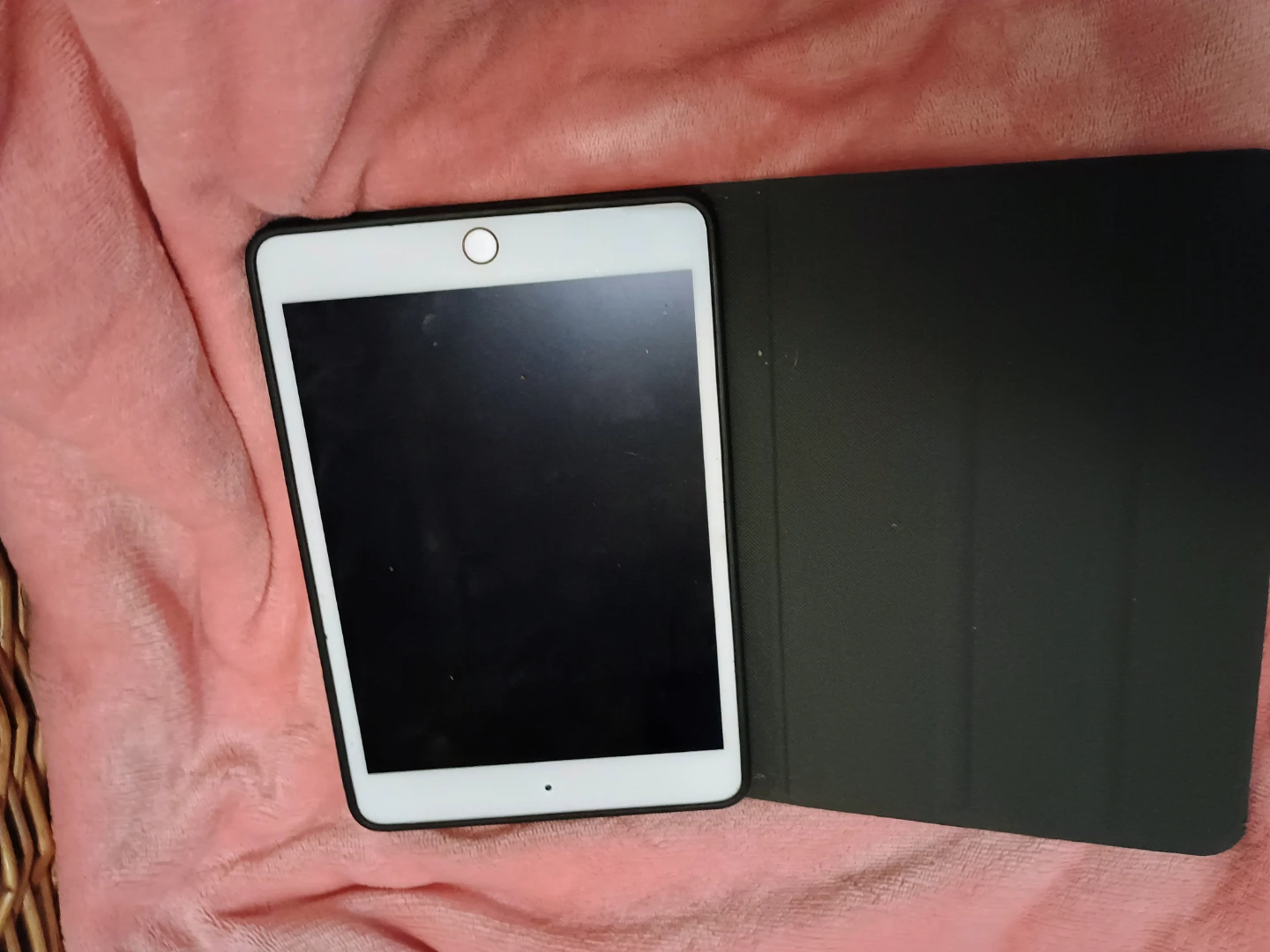 Apple iPad Mini 4 - photo 2