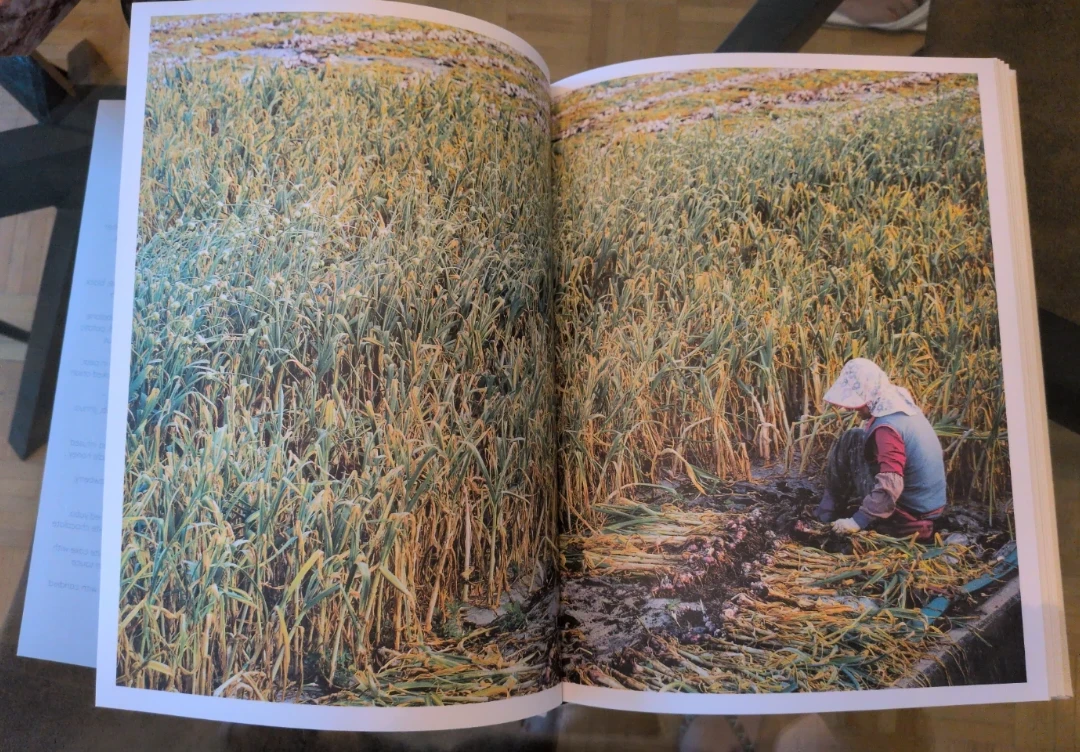 Benu by Corey Lee Cookbook - photo 3