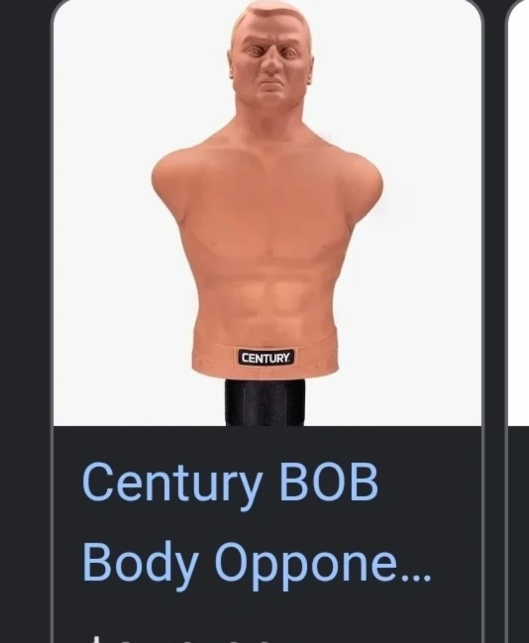 Century BOB Body Opponent Bag
