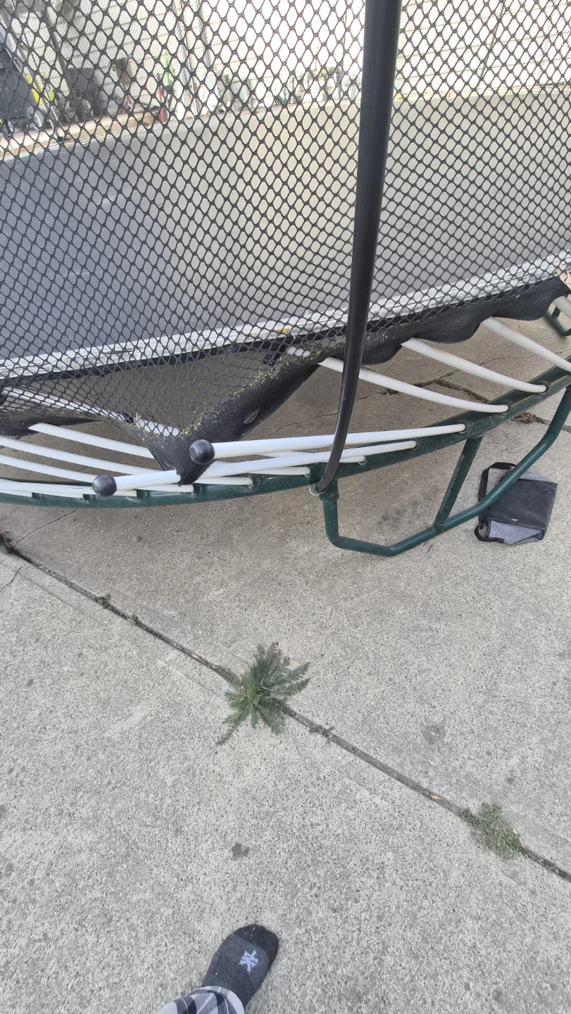 Trampoline with Safety Net - photo 2
