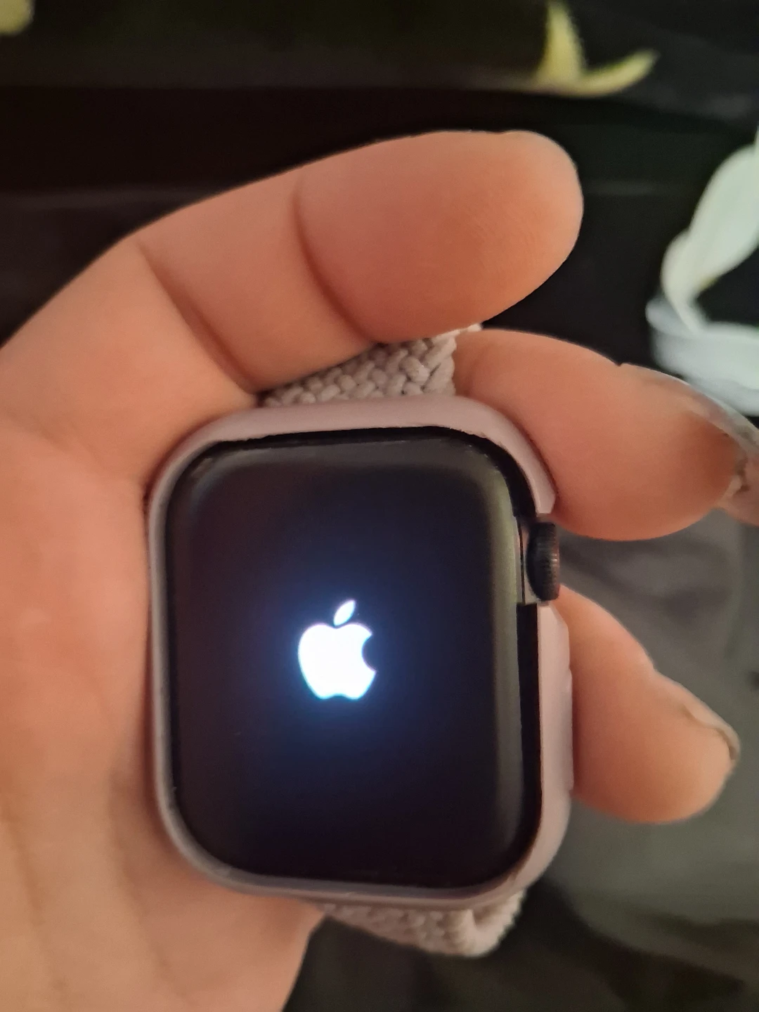 Apple Watch Series 8