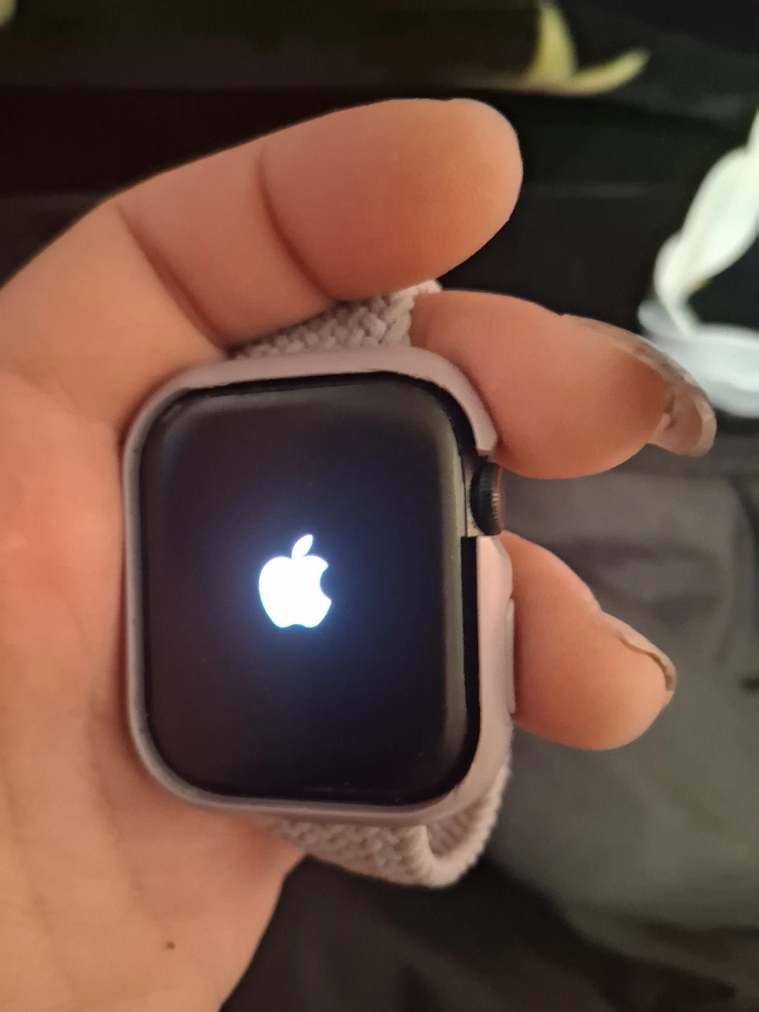Apple Watch Series 8 - photo 2