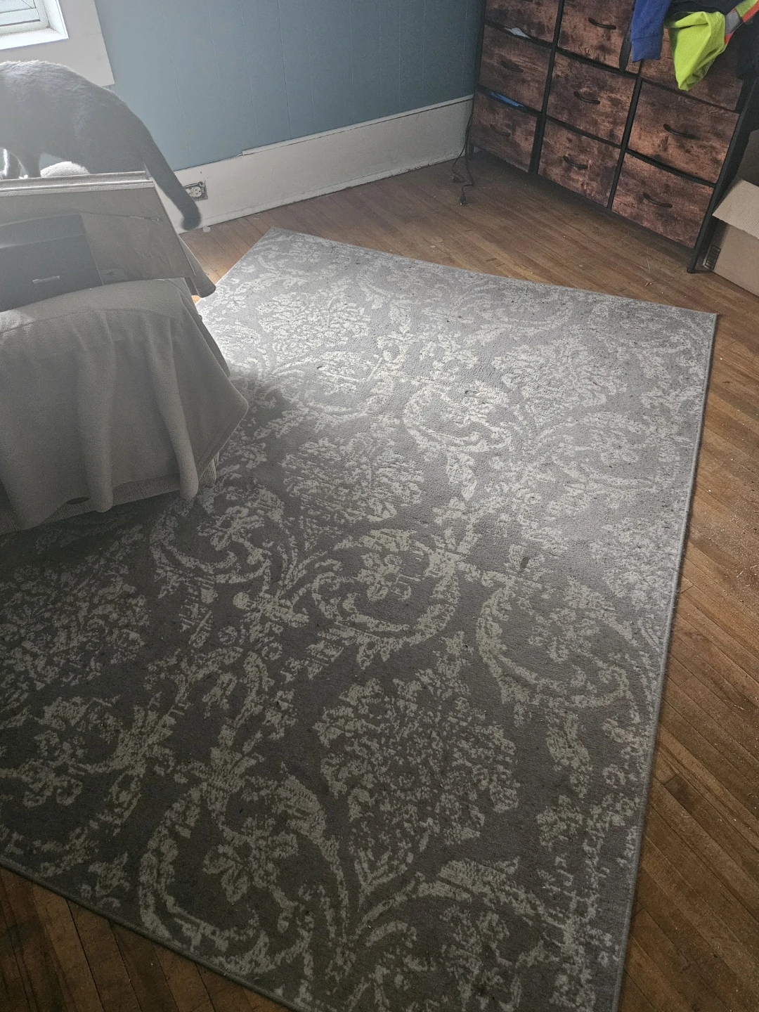 5x7 area rug