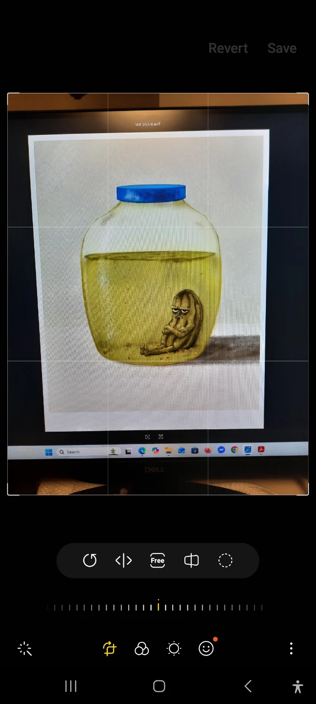 Last Pickle Illustration