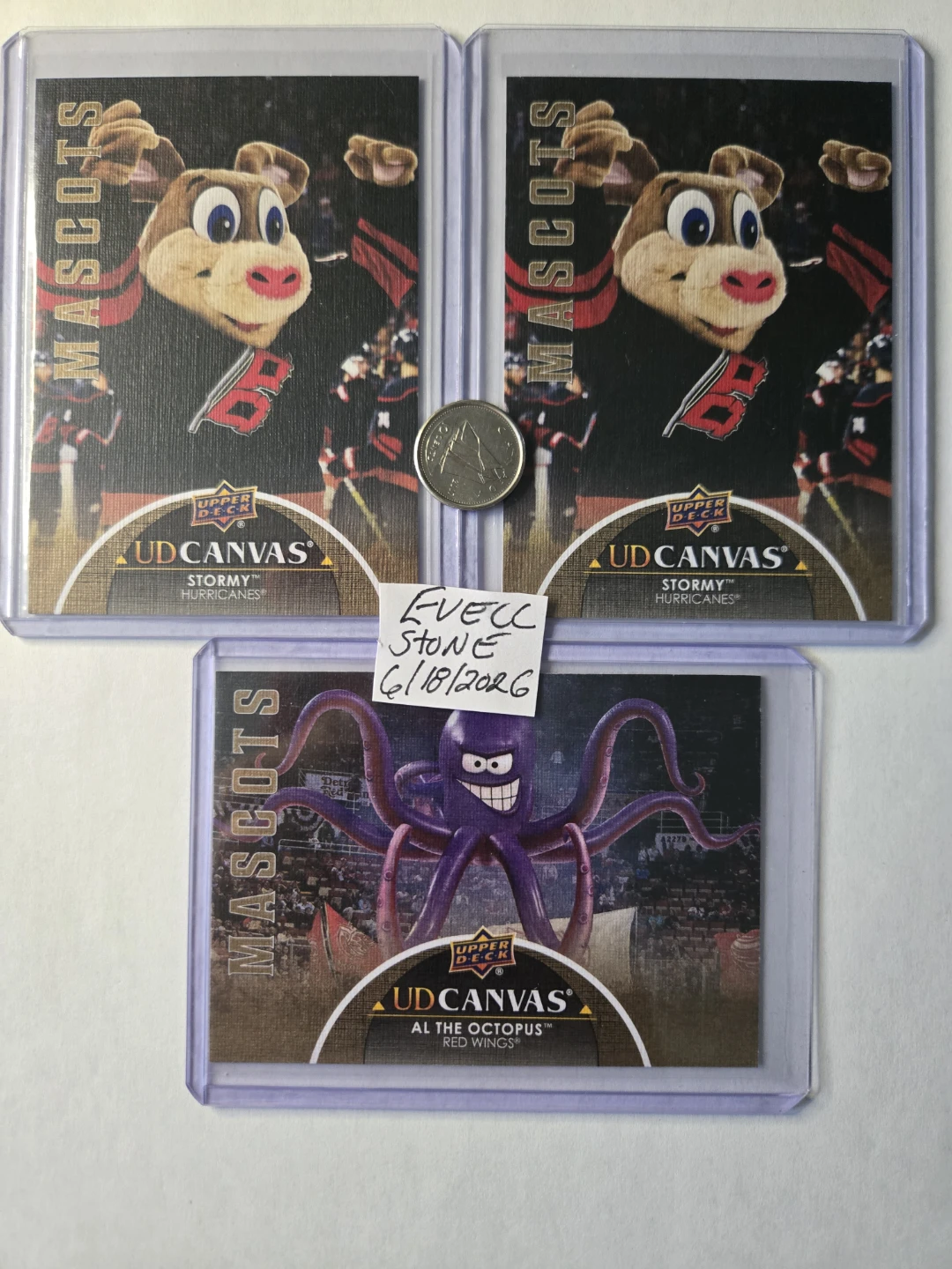 2021-22 CANVAS MASCOTS - photo 3
