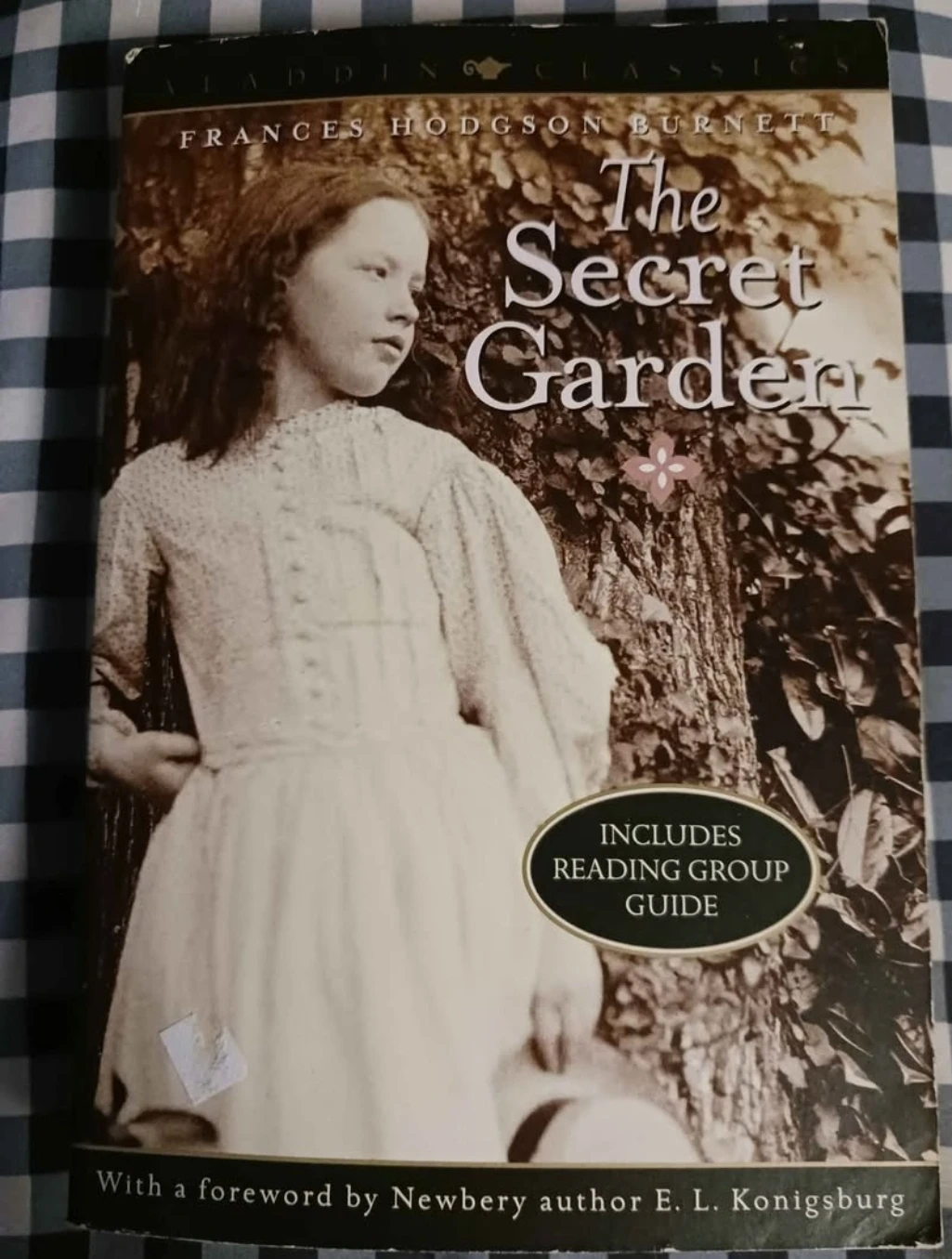 The Secret Garden by Frances Hodgson Burnett