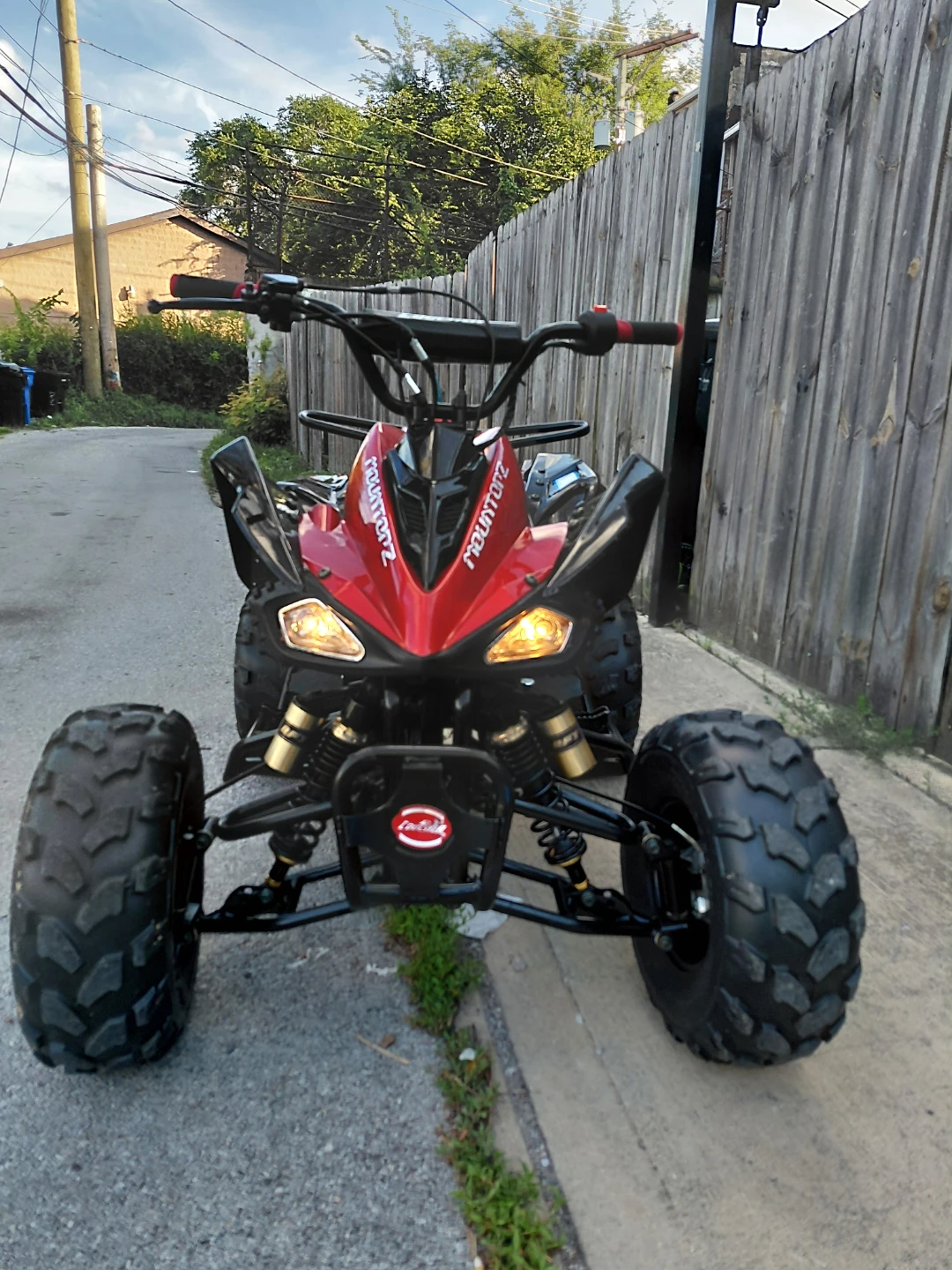 Red MOUNTAINZ ATV Quad - photo 5