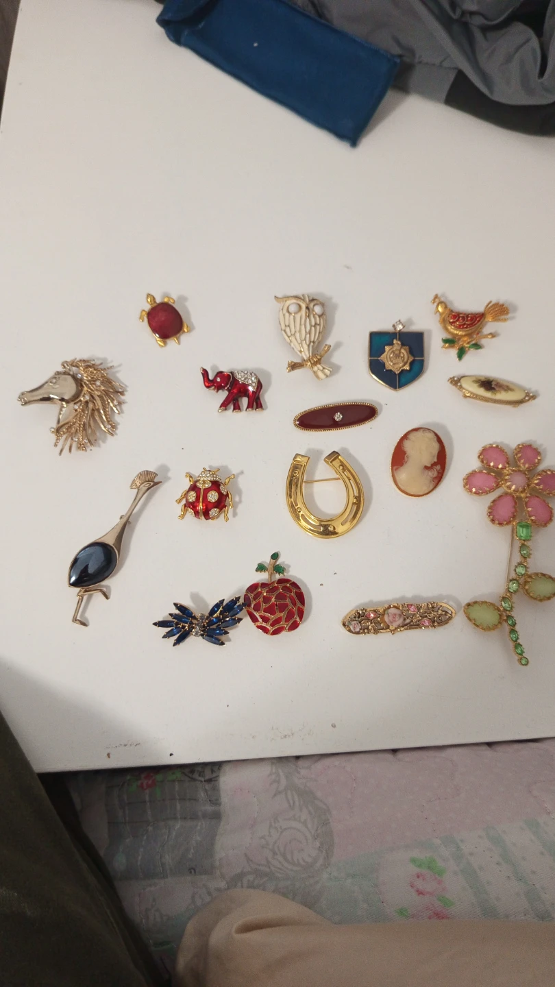 Assorted lot of decorative brooches 10usd each piece
