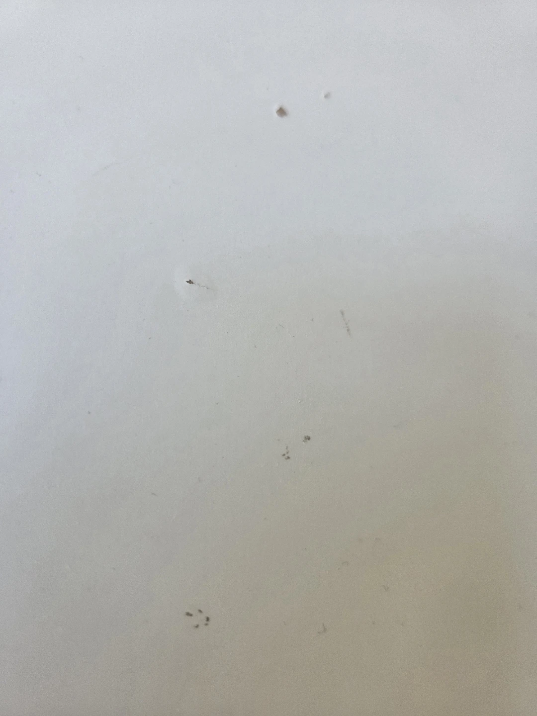 White Table - photo 5