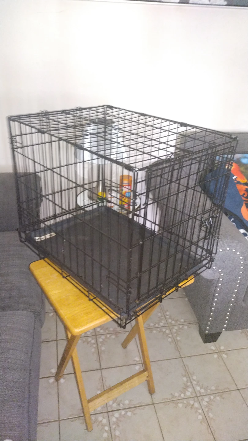 Small Dog Cage Black Folding Dog Crate Kennel with Tray
