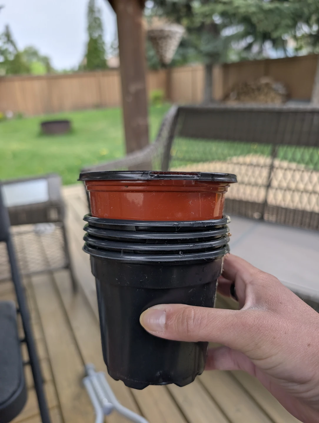 Starter plant Pots