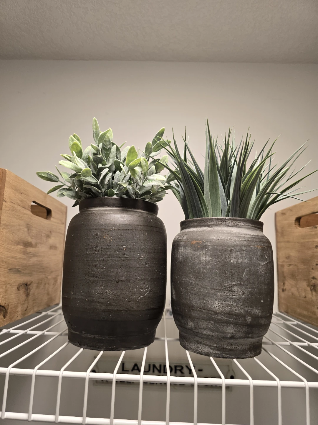 PAIR of CERAMIC VASES and PLANTS from URBAN BARN