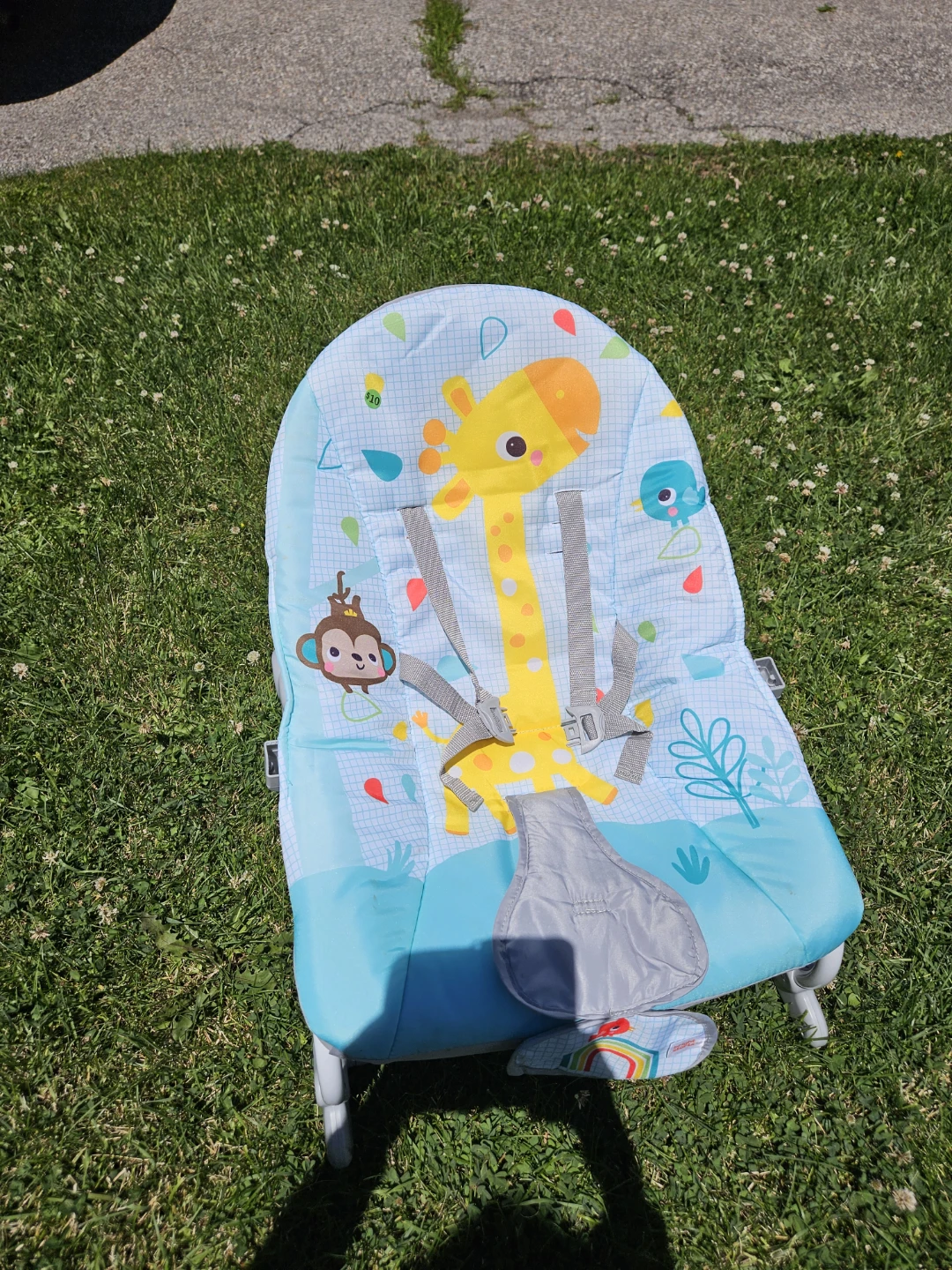 Infant Rocker Bouncer