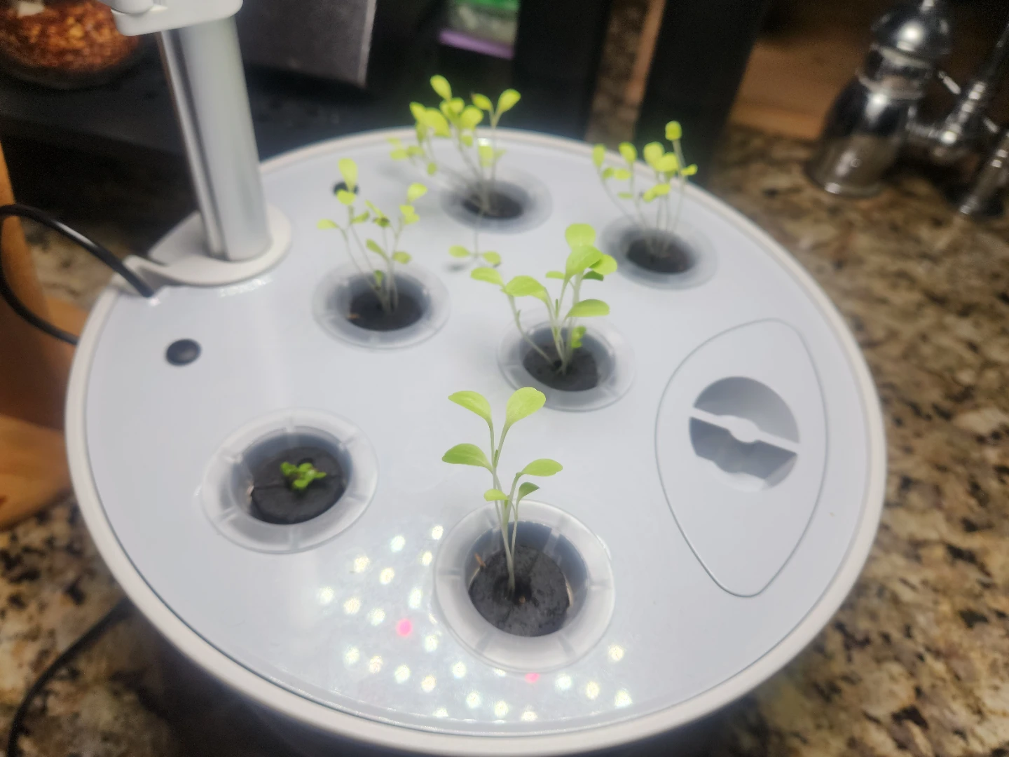 AeroGarden Harvest Elite 360 Indoor Hydroponic System - photo 3