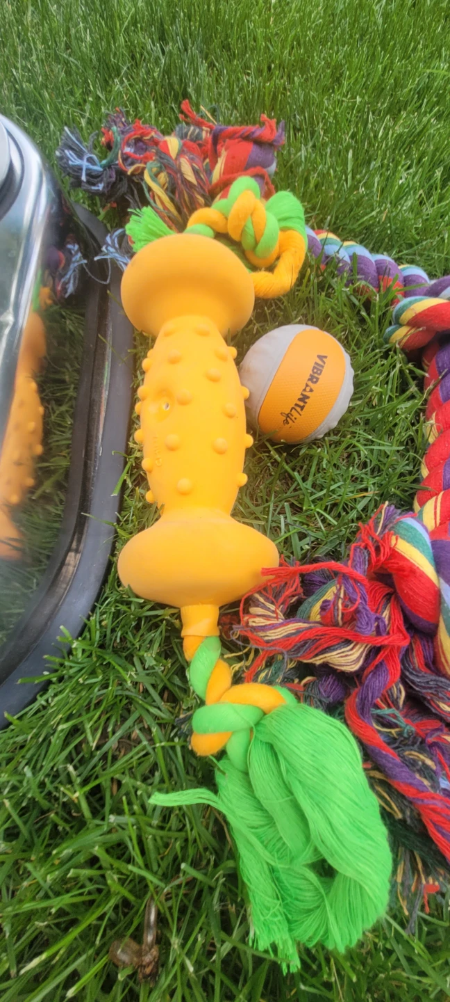 Dog Bowls and Toys Bundle - photo 4