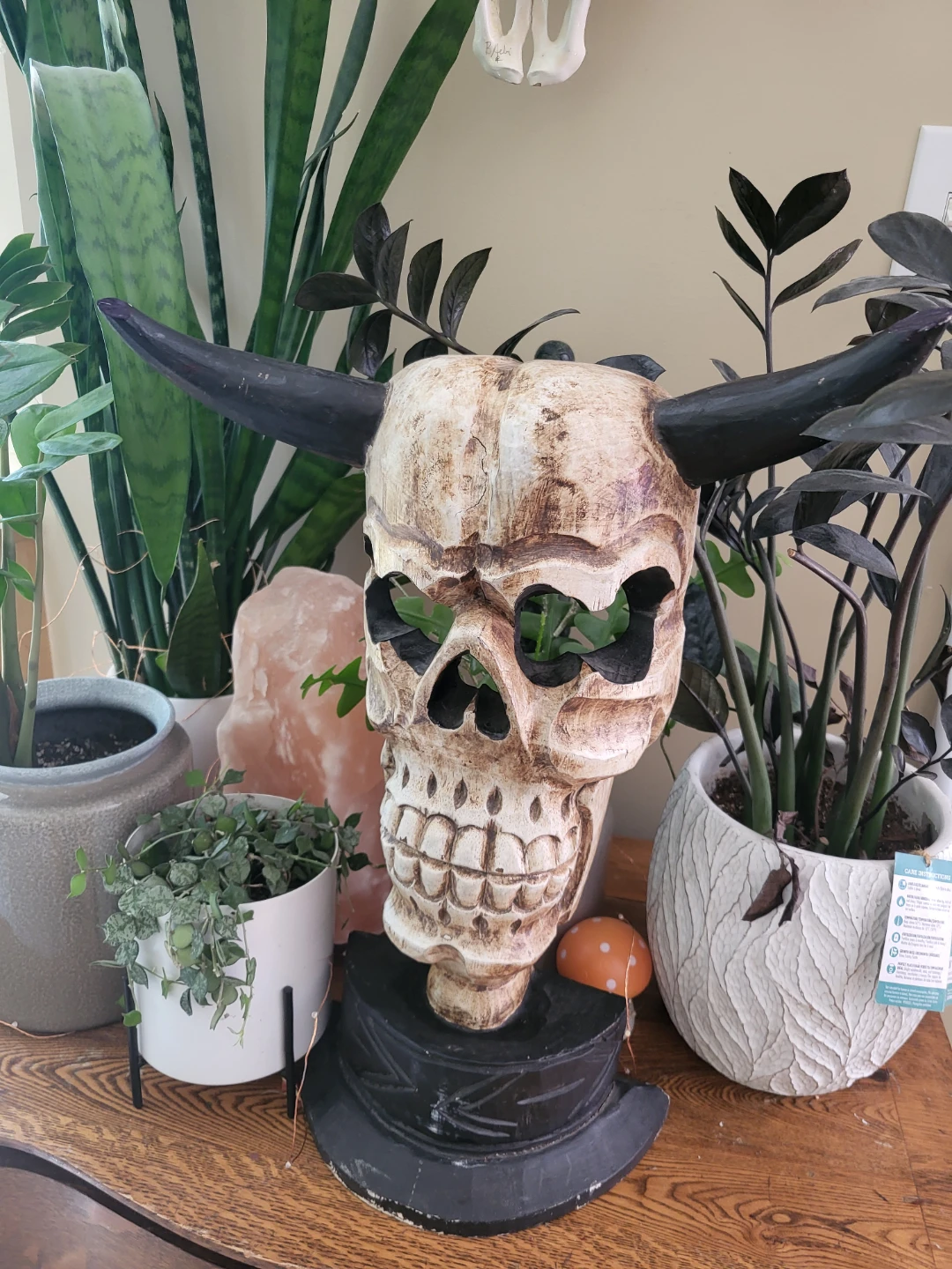 Decorative Skull Mask with Horns