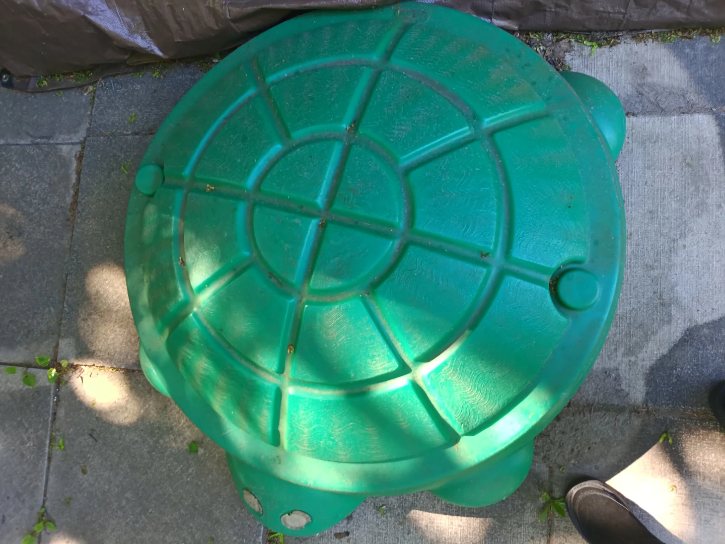 Turtle sandbox - photo 2