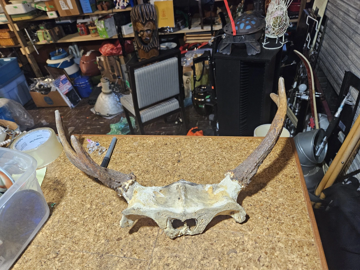 Deer Antlers Mount - photo 3