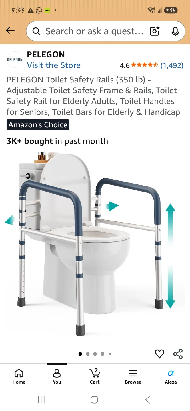 Toilet Safety Rails (350 lb)