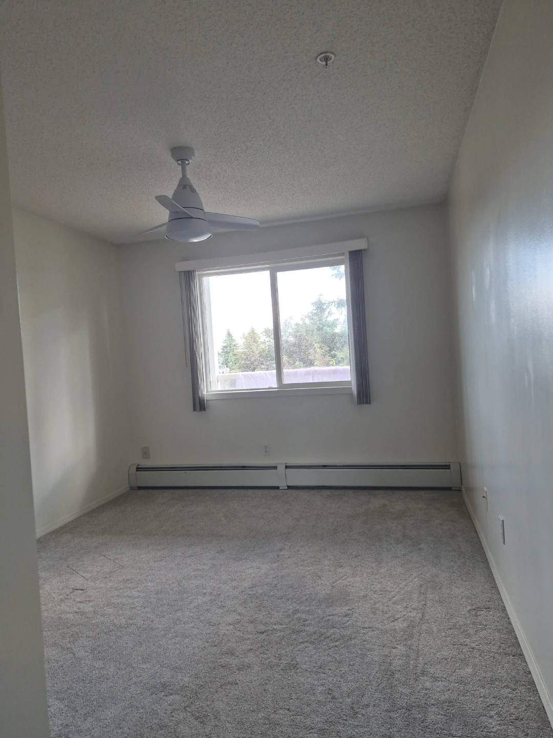 Looking female roommate!