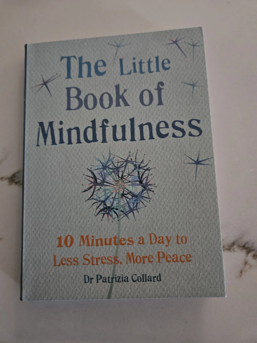The Little Book of Mindfulness ⚽️