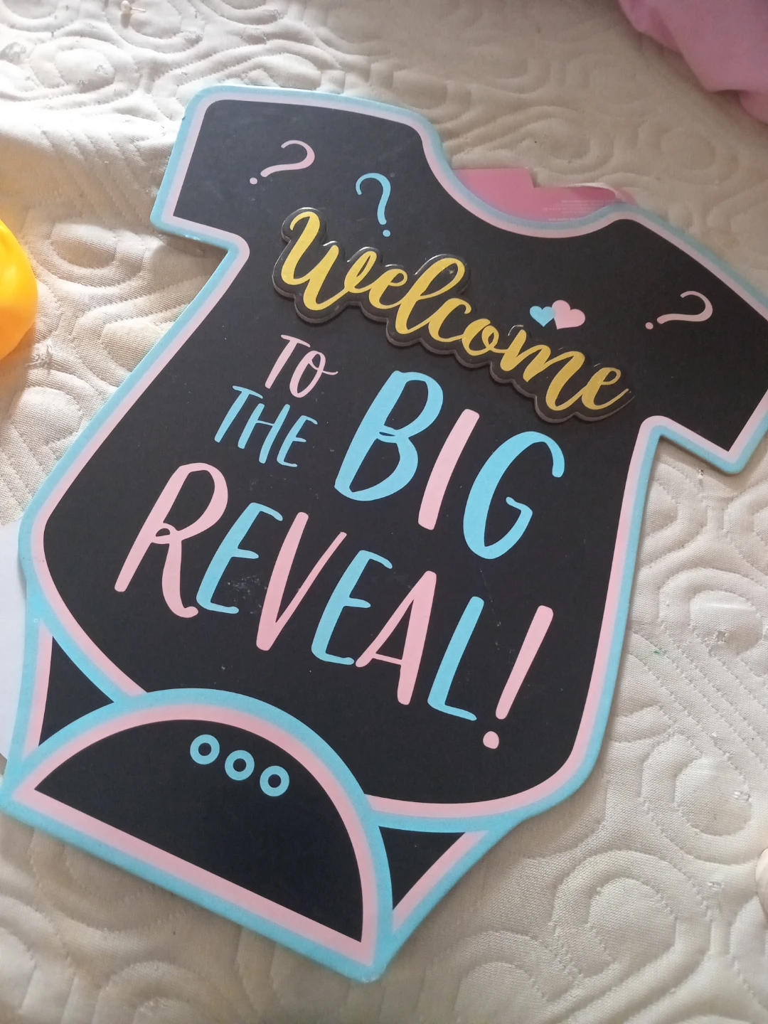 Baby Gender Reveal Party Supplies - photo 3