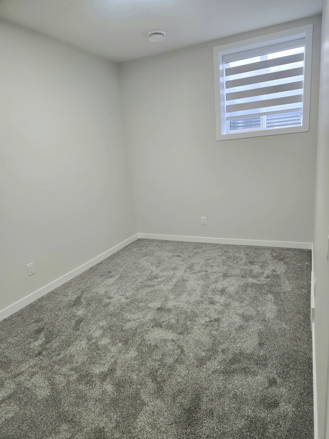 Brand new 2 bedroom basement for rent - photo 4