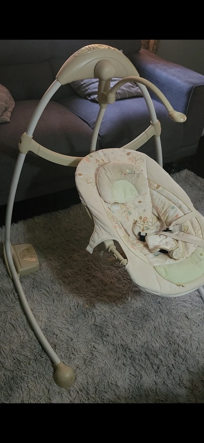 Fisher-Price Infant-to-Toddler Swing - photo 2