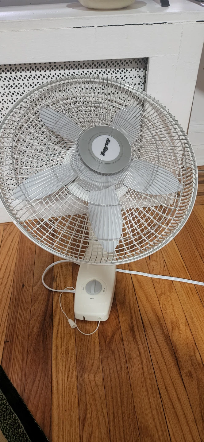 Tangguang Electric Fan