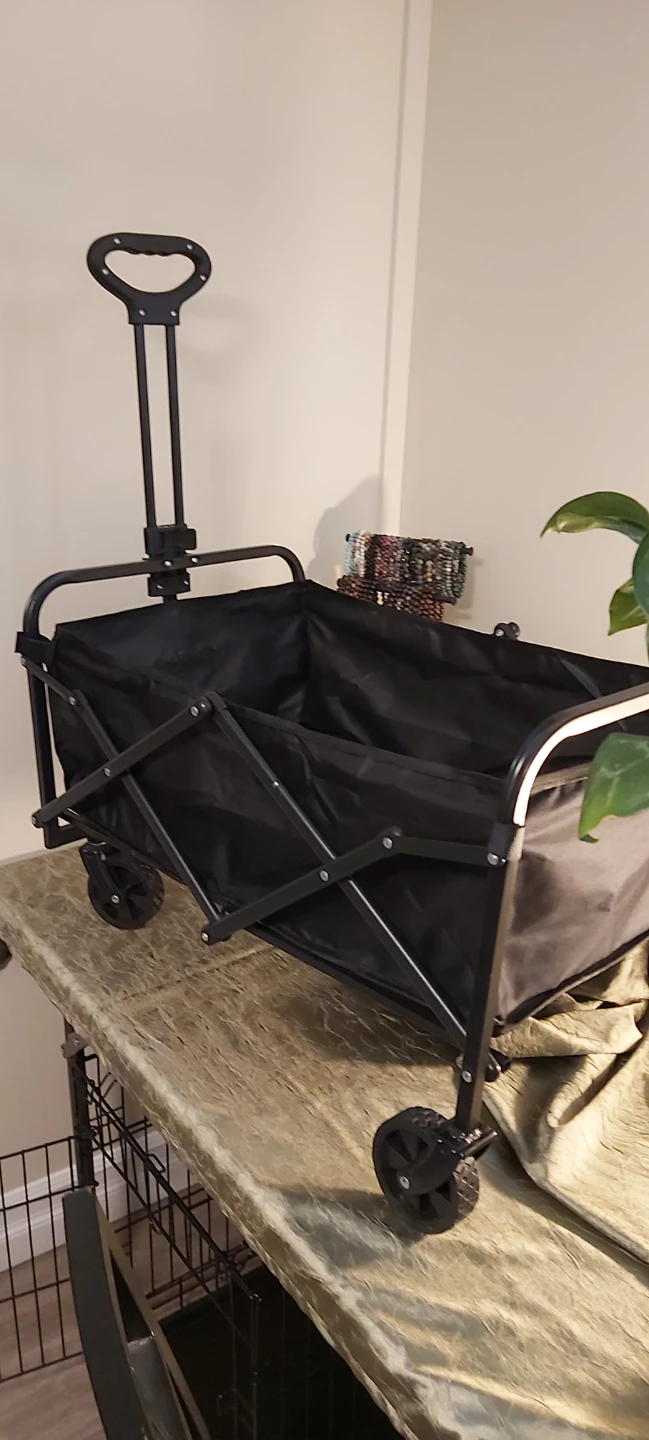 Wagon