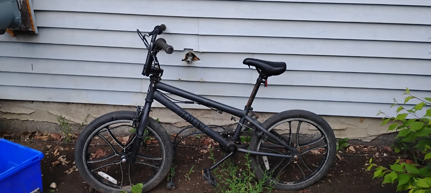 ⚽Redline BMX Bike