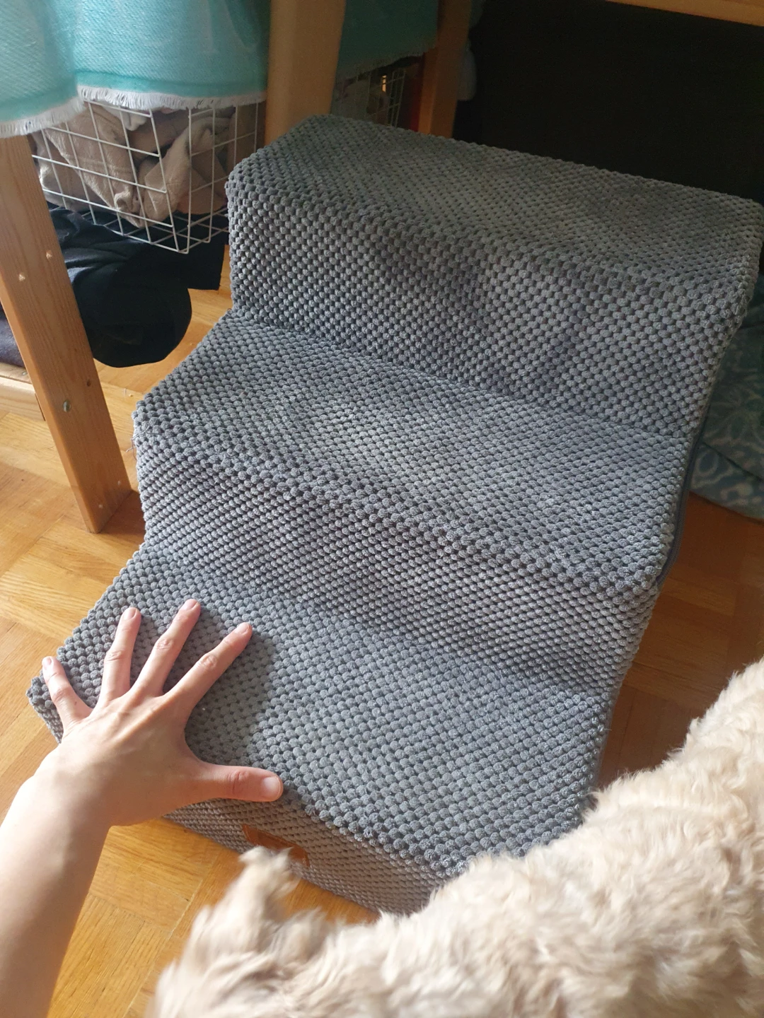 dog stairs