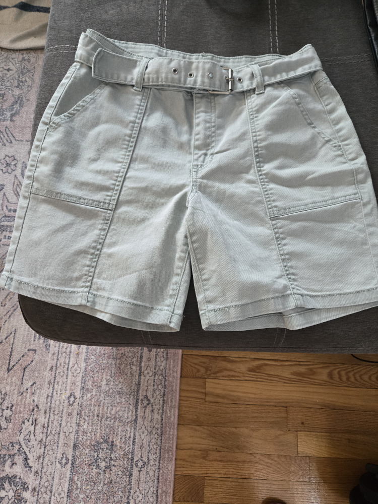 Light Blue Belted Shorts