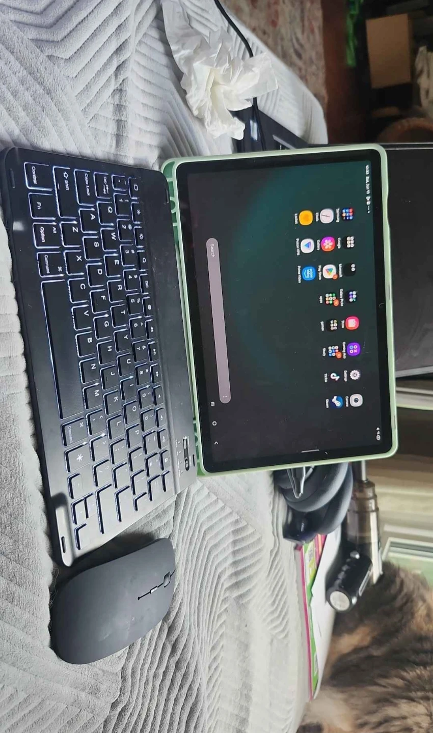 Samsung Tablet S9 FE (read description) - photo 4