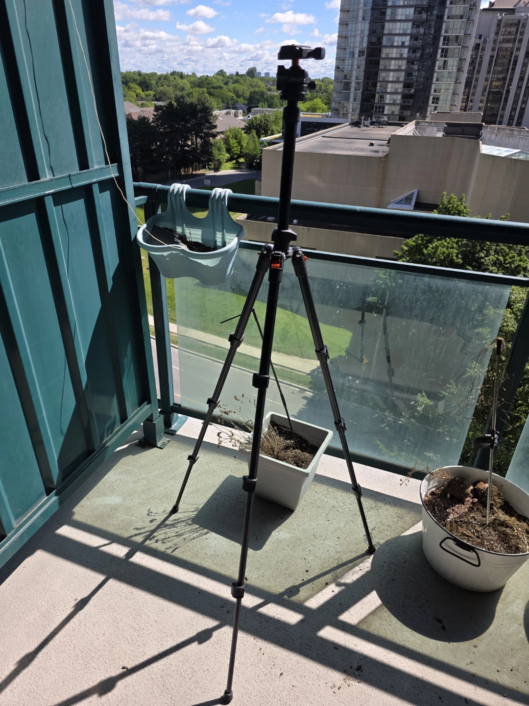 K&F Concept 64 inch Tripod with Bag - photo 5